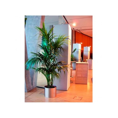 decher_kentie-filigran-m-im-edelstahlring-160m-200m_295x295