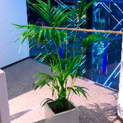 decher_kentie-im-kubus