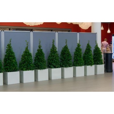 lorbeerpyramide_im_kubus_weiss_s