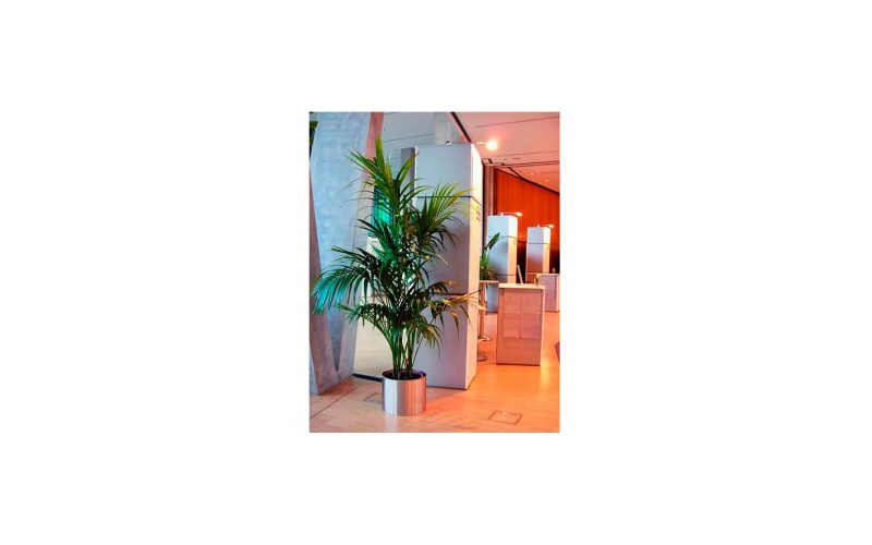 decher_kentie-filigran-m-im-edelstahlring-160m-200m_295x295