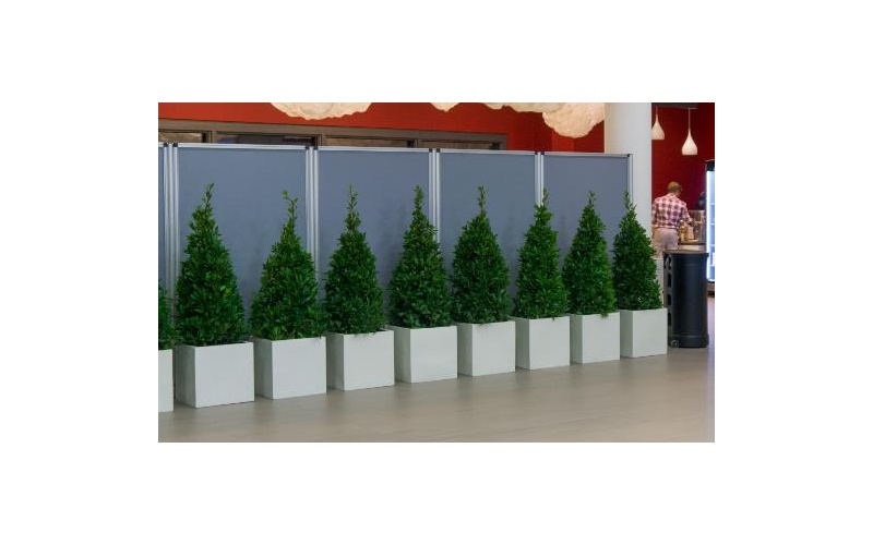 lorbeerpyramide_im_kubus_weiss_s